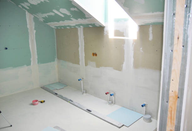 Best Mold Odor Removal Services  in Hale Center, TX
