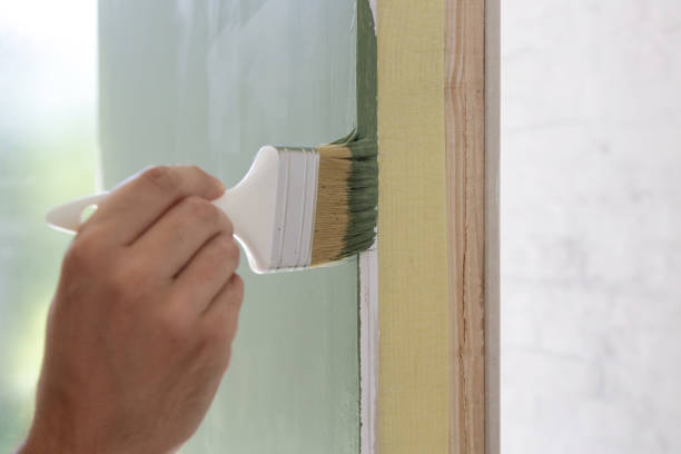 Mold Odor Removal Services in Hale Center, TX