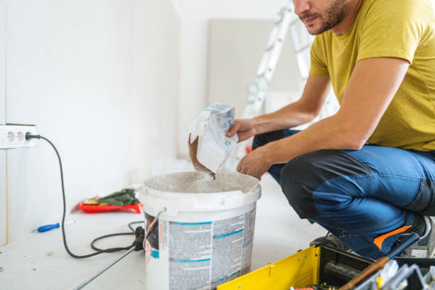 Best Water Damage & Mold Remediation  in Hale Center, TX
