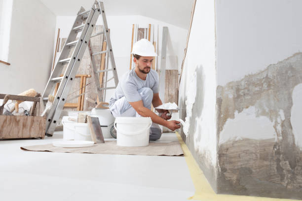 Best Asbestos and Lead Testing During Mold Inspection  in Hale Center, TX
