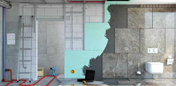 Reliable Hale Center, TX Mold Removal Solutions