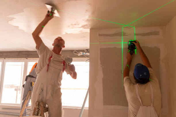 Best Environmental Consulting for Mold Prevention  in Hale Center, TX