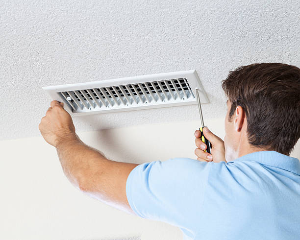 Environmental Consulting for Mold Prevention in Hale Center, TX